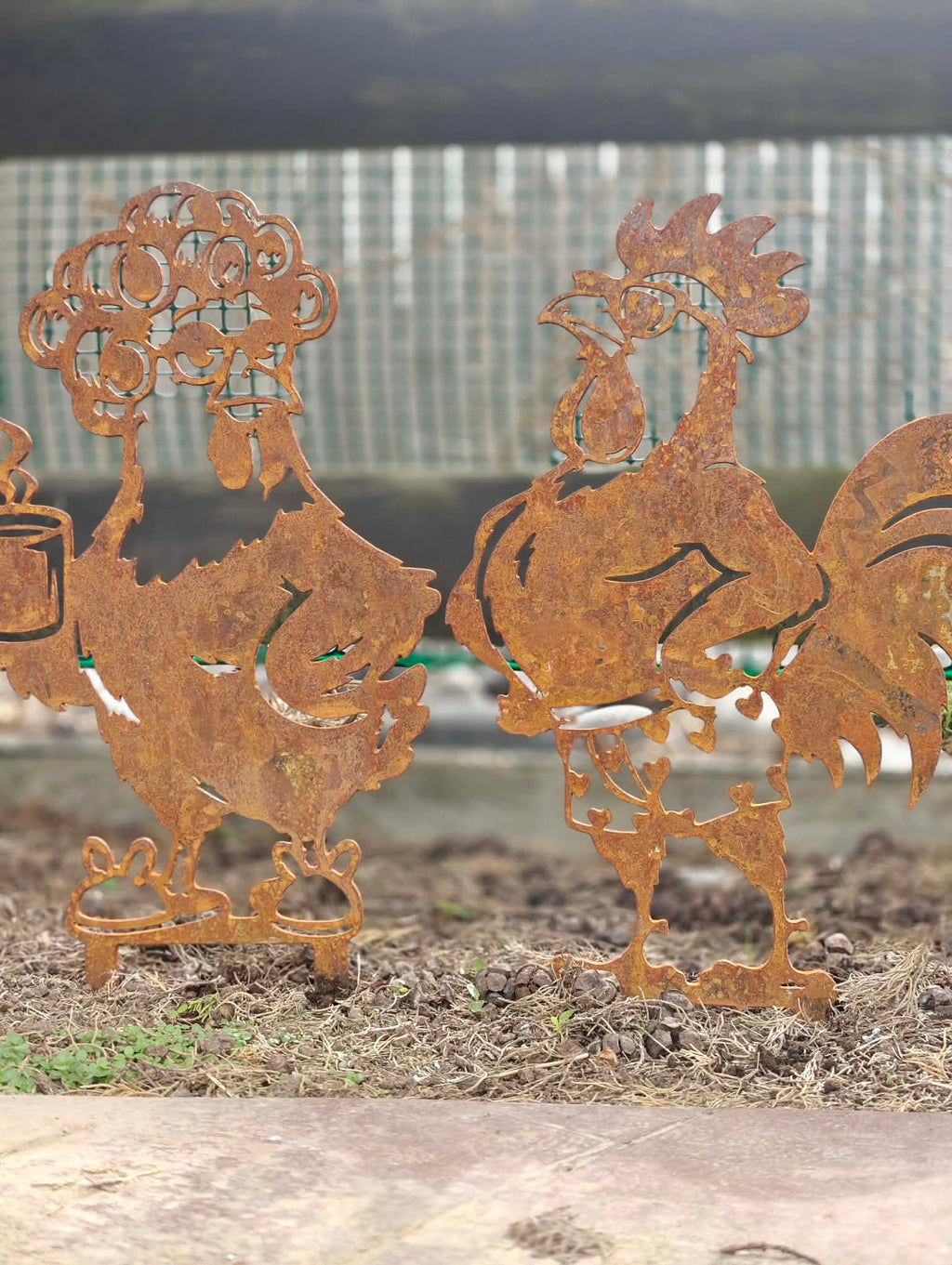 Mama Hen With Coffee
