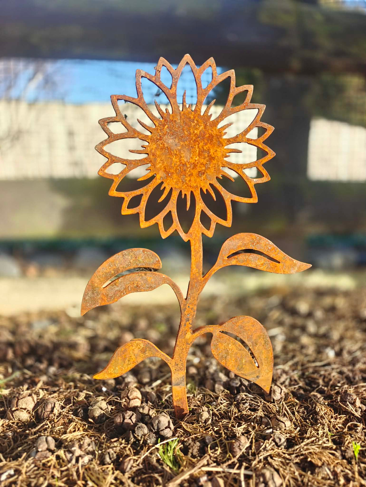 Sun flower (Large) with garden stake